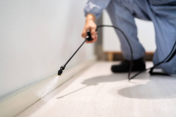 Licensed Termite Control service in Bay City, MI - Nex Pest Control