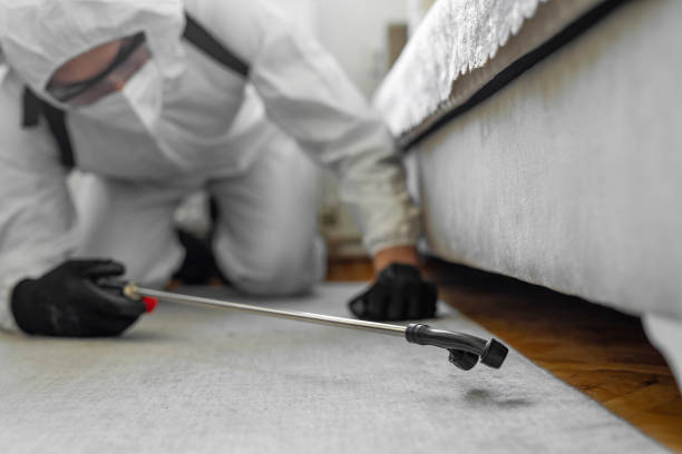 Professional Termite Control technician working in Bay City, MI