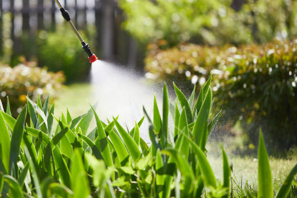 24/7 Emergency Termite Control experts in Bay City, MI