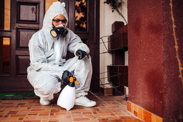 Reliable Termite Control contractor in Bay City, MI by Nex Pest Control